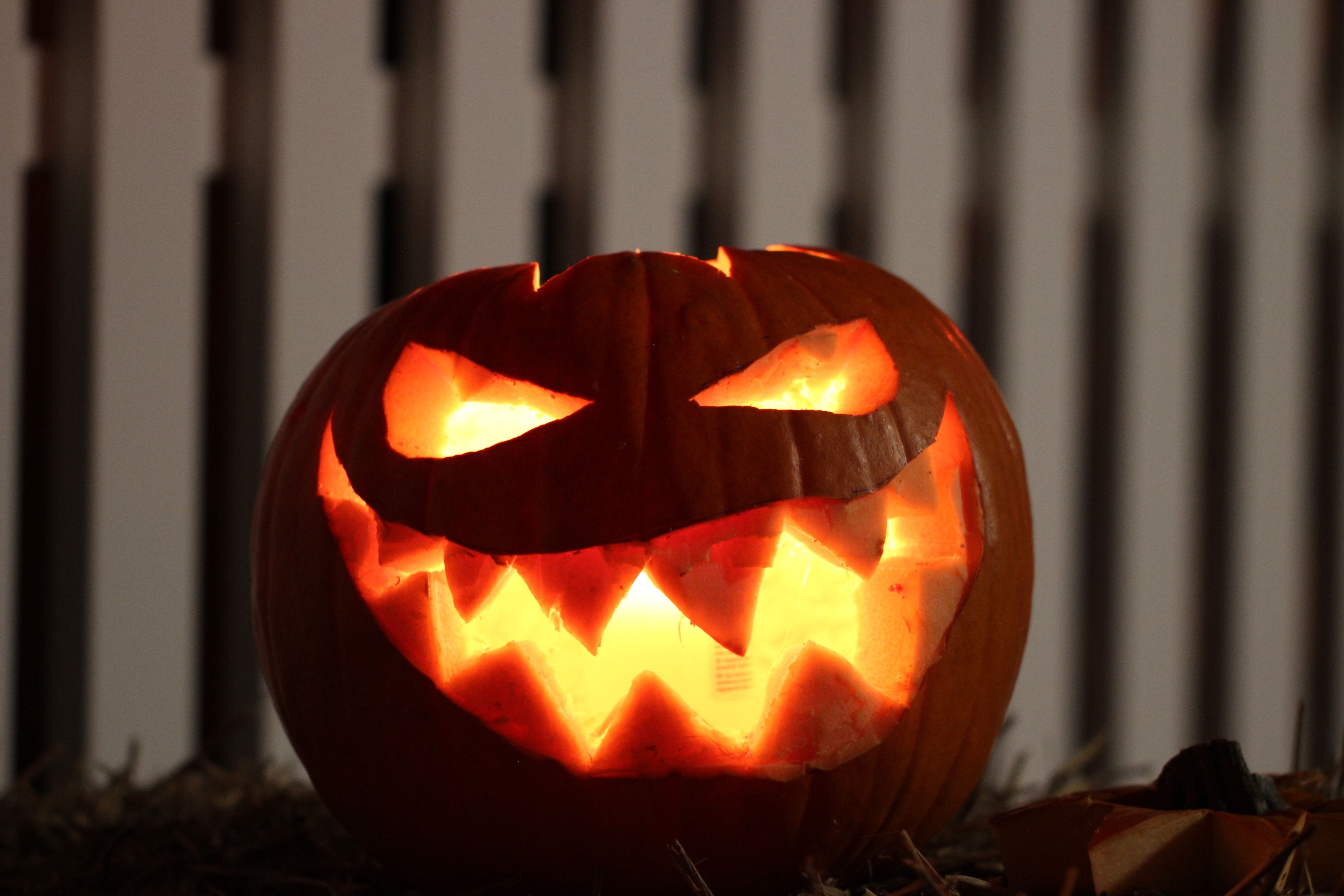 Halloween Horror Stories Prevent an Insurance Claim Nightmare