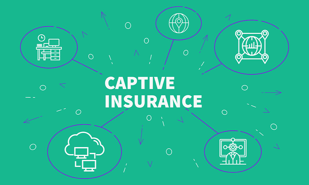 Blog - How to Choose Best Captive for Your Company